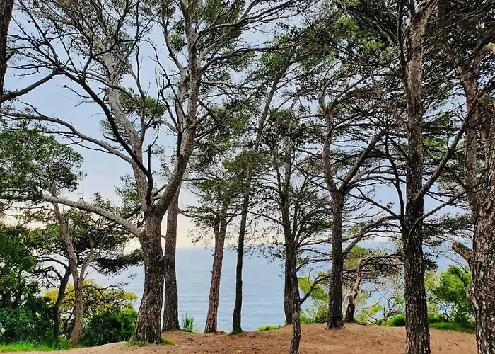 Apartamento Tossa De Mar Tossa de Mar