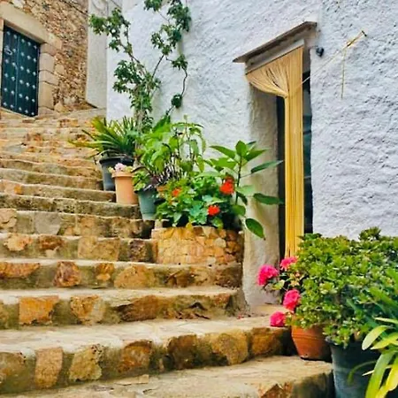 Apartamento Apartamento Tossa De Mar
