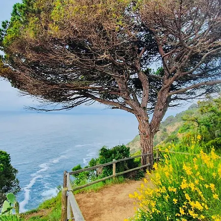 Apartamento Tossa De Mar * טוסה דה מאר