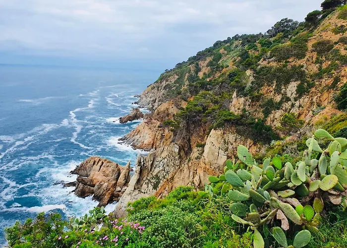 Appartement Apartamento Tossa De Mar Tossa de Mar