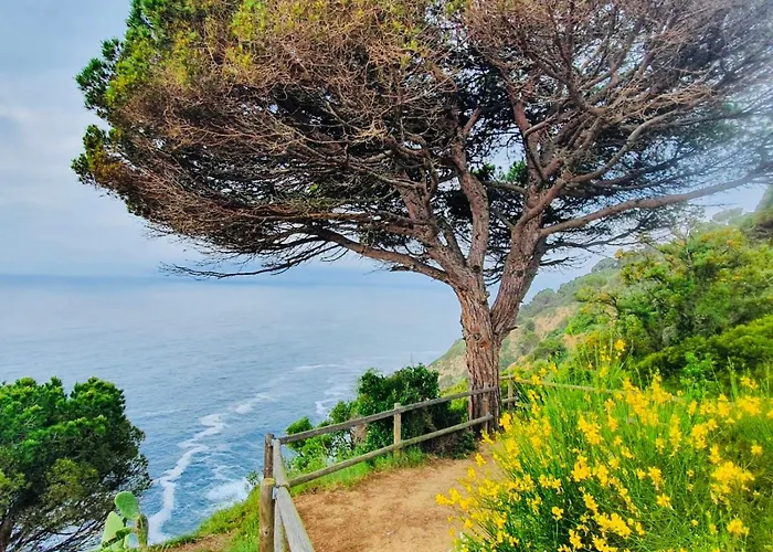 Apartamento Tossa De Mar * Tossa de Mar