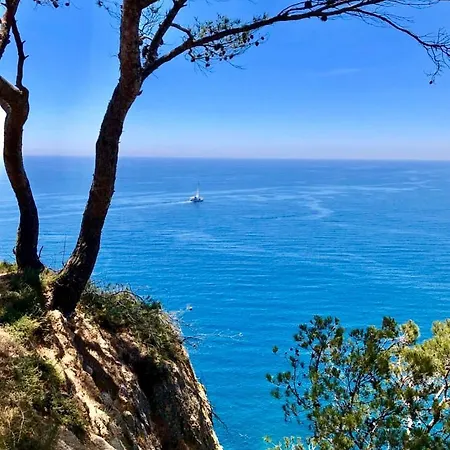 Апартаменты Apartamento Tossa De Mar *