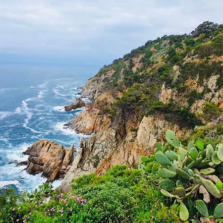 Апартаменты Apartamento Tossa De Mar Тосса-де-Мар
