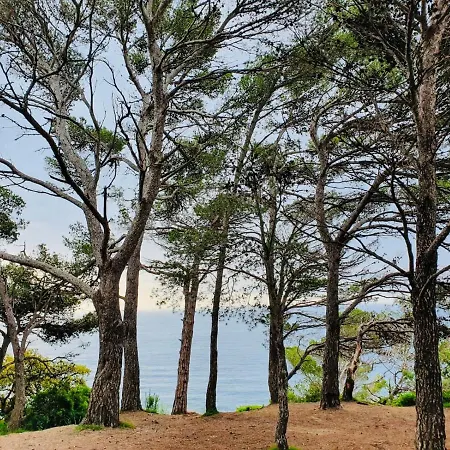Apartamento Tossa De Mar Тосса-де-Мар